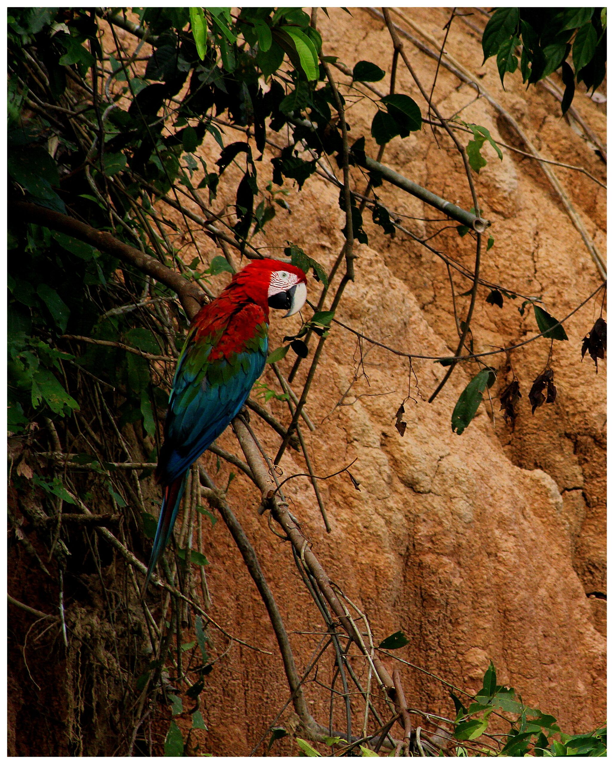 Puerto Maldonado