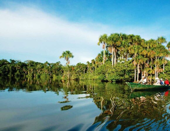 La Fauna y Flora del Lago Tres Chimbadas: Un Ecosistema Vibrante en Tambopata